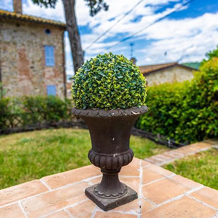 เอิง เปอตี ปาราดิส Villa Castiglione Della Valle ภายนอก รูปภาพ