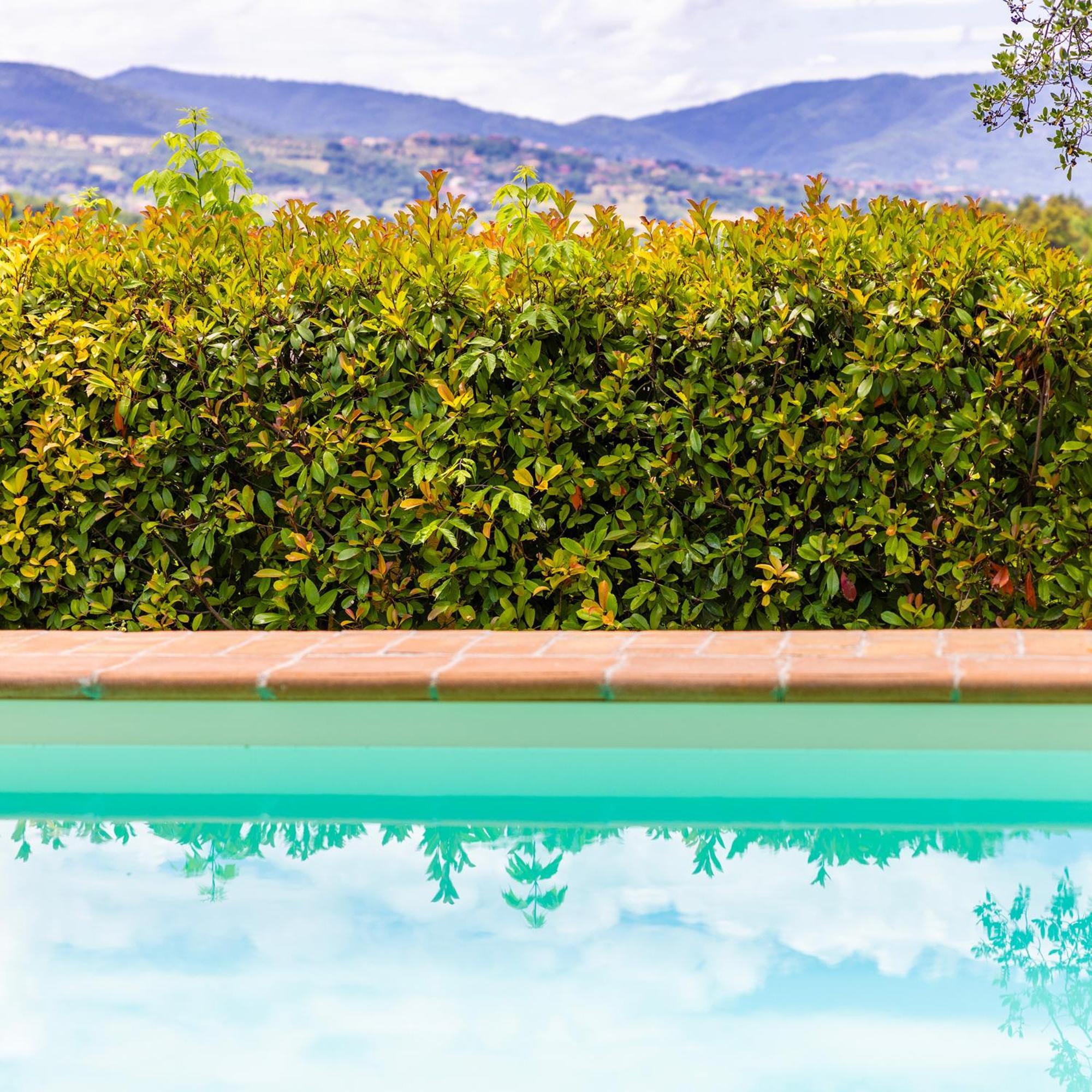 เอิง เปอตี ปาราดิส Villa Castiglione Della Valle ภายนอก รูปภาพ