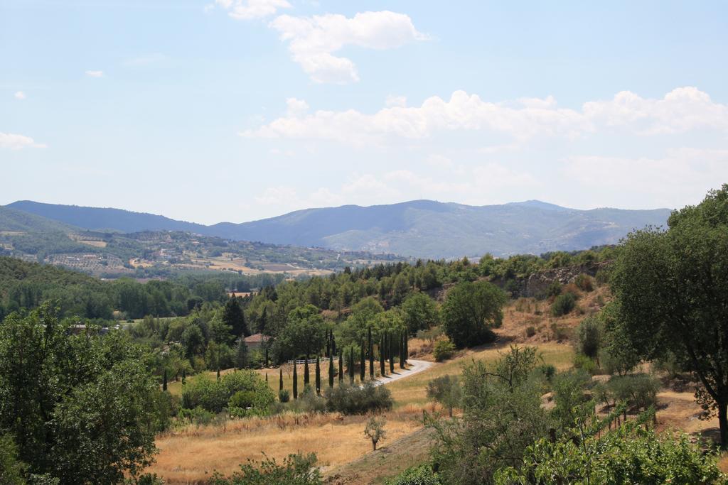 เอิง เปอตี ปาราดิส Villa Castiglione Della Valle ภายนอก รูปภาพ